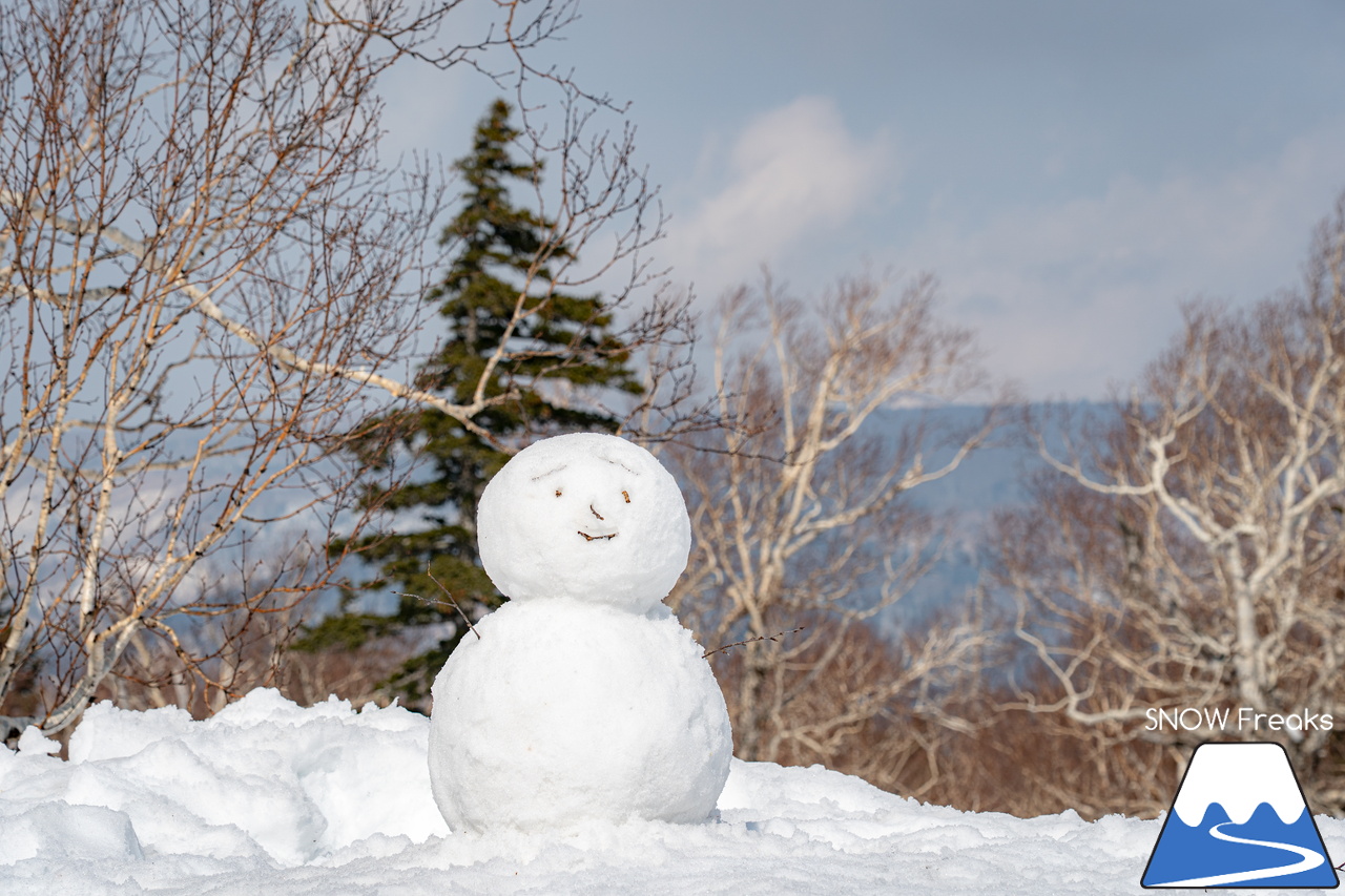 札幌国際スキー場｜さすが『KOKUSAI』！春シーズンも安泰の豊富な積雪で、まだまだ余裕で全面滑走可能です(^^)v